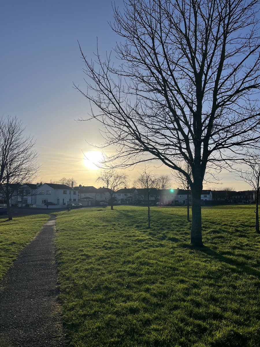 ⁦<a href="/Dyslexic_aDve_/">Dyslexic_aDve</a>⁩ TREES yeah