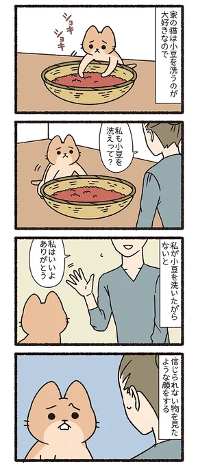 ねこようかい あずきあらい(2/3) 