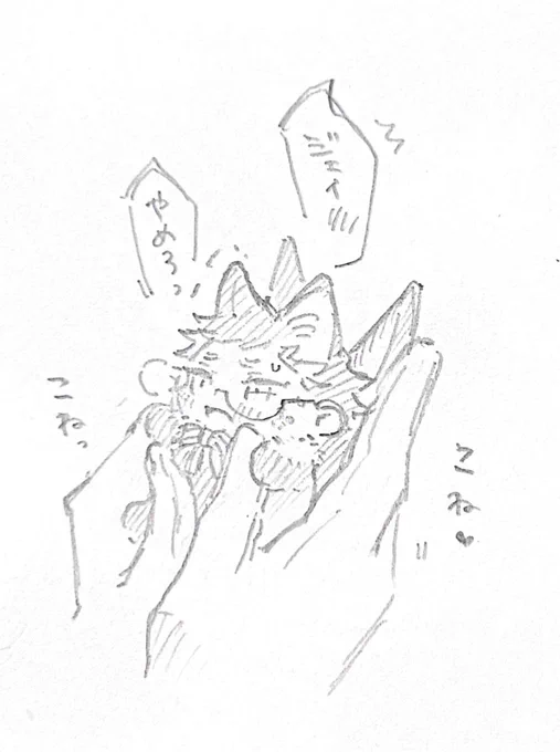 こねこねされてる(トレジェイ) 