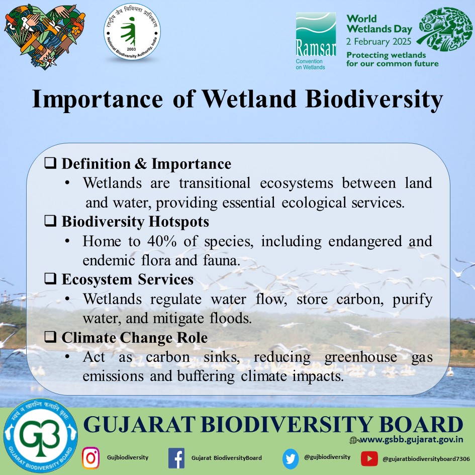 GujBiodiversity's tweet photo. WORLD WETLAND DAY 2025

"Wetlands are nature’s lifelines, supporting 40% of all species while purifying water, preventing floods, and storing carbon. Protecting wetland biodiversity means securing our planet’s future. Conserve, restore, and cherish our wetlands!" https://t.co/bqK2UYk7N7