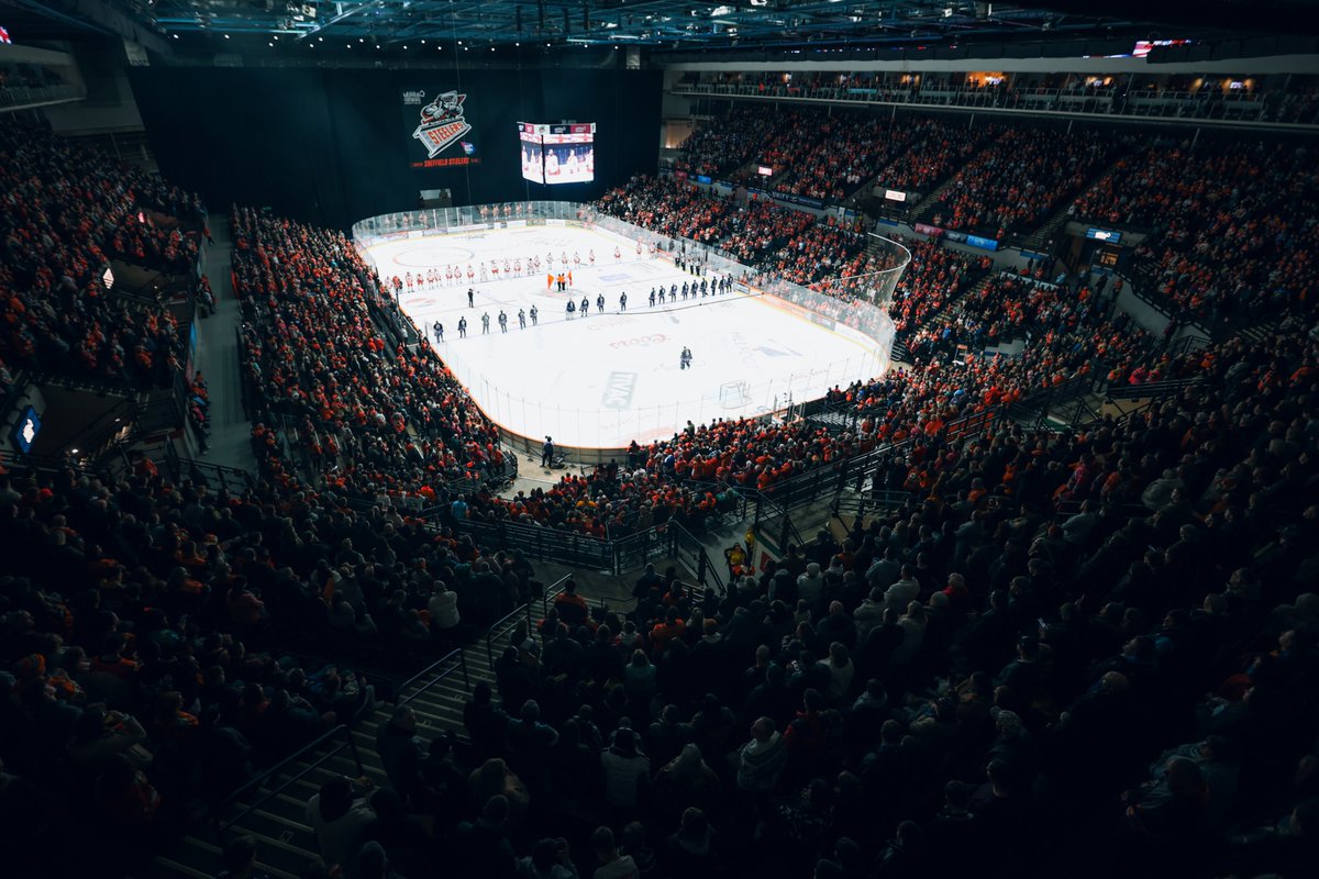 TriggerHub Sheffield Steelers tweet media