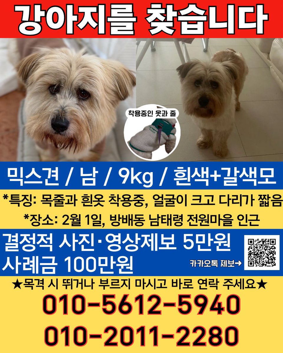 FELL+COLE 펠앤콜 (@fellncole) on Twitter photo 