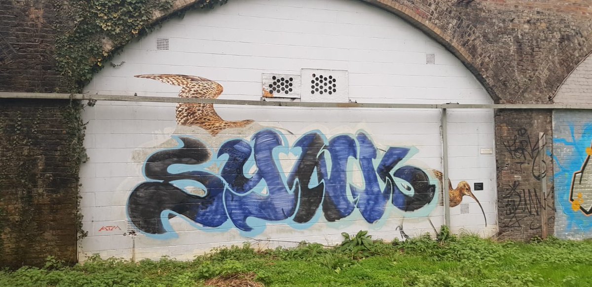 Mary Colwell tweet media