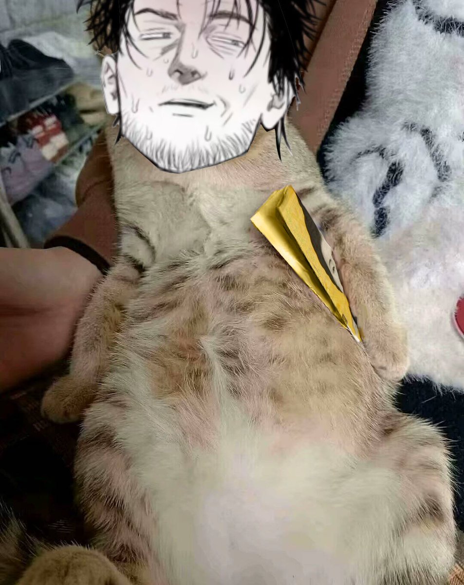 #불굴의챔피언
浩中猫咪
<a href="/bakjjindeuk/">jjondeuk</a> 
打扰致歉。。。。