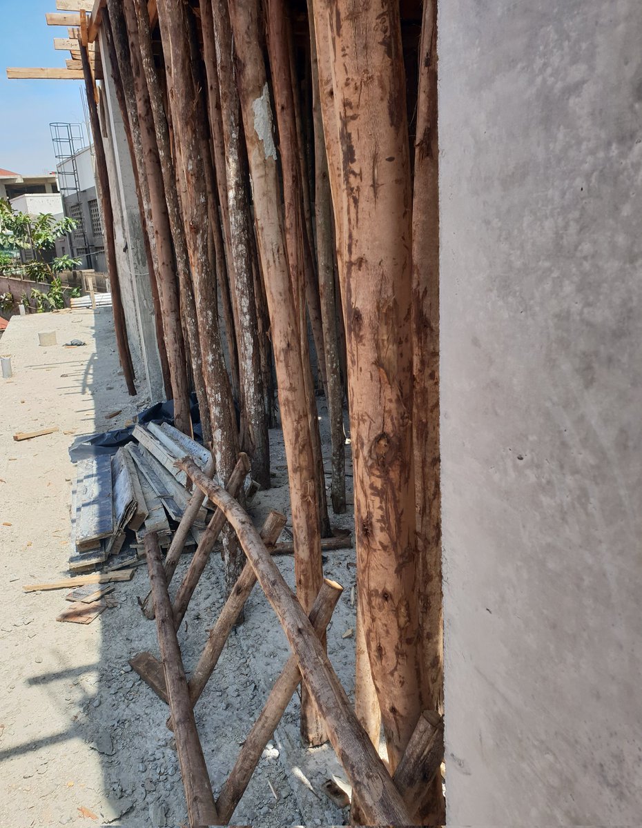 akech_andrew's tweet image. Engineers first keep quiet, clients what is the name of these wooden poles?
