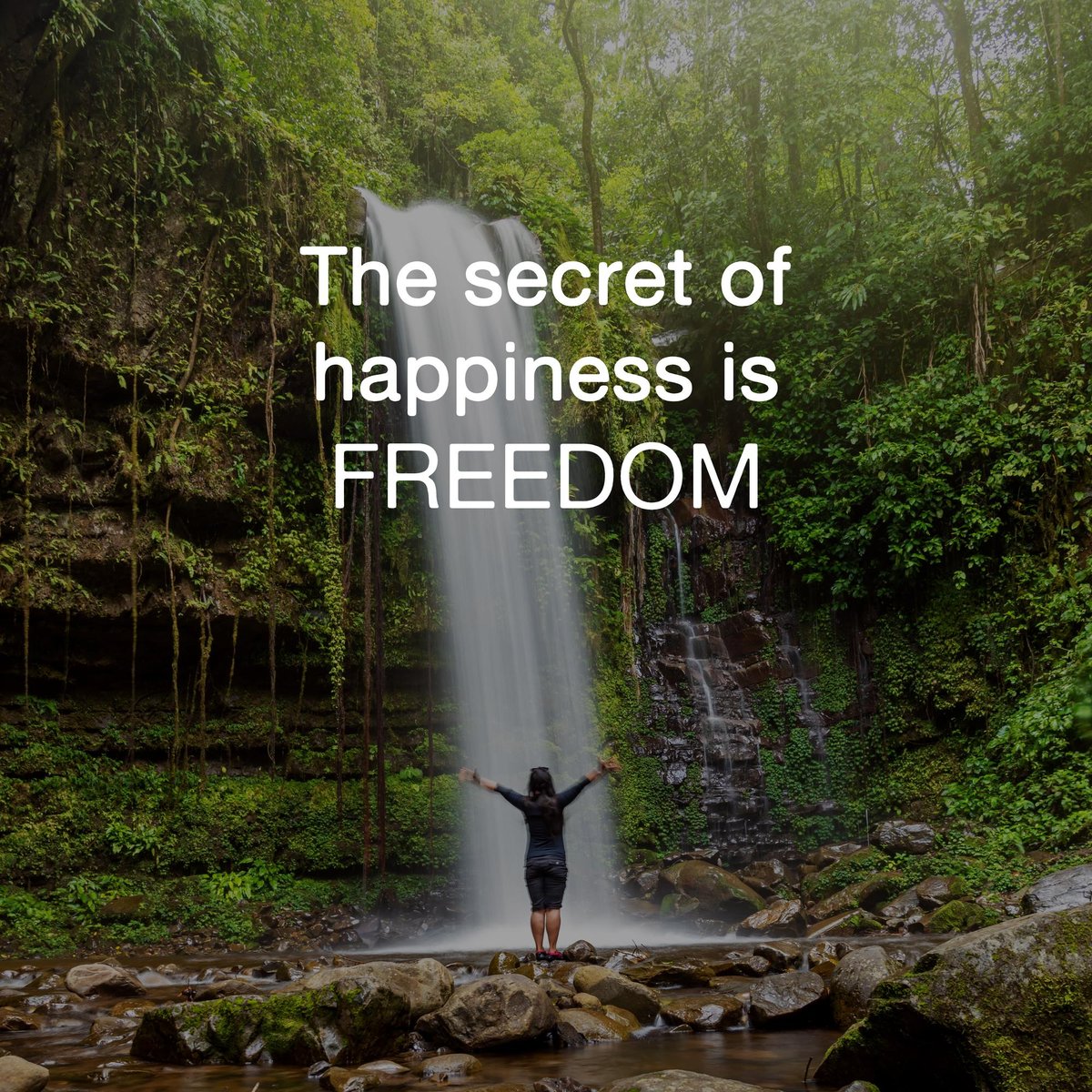 yardenercom's tweet photo. Freedom is found in the garden, where every plant grows at its own pace, and every bloom is a celebration of life.

Embrace the secret of happiness: let nature guide your heart. 🌟

#GardeningJoy #NatureFreedom 🌳 https://t.co/7ORaXQ0s1g