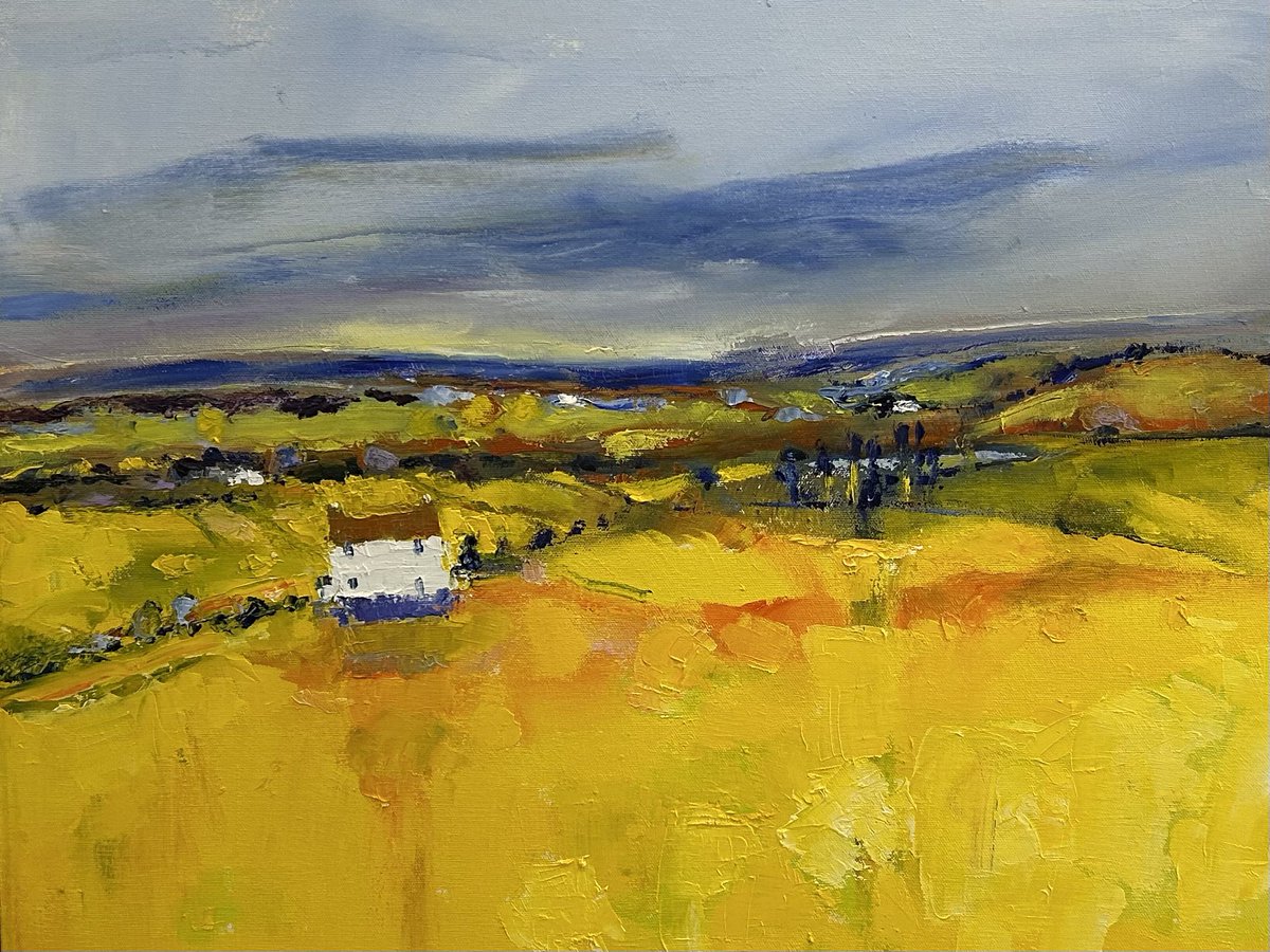 Life: Full Colour 🏴🇦🇺 tweet media