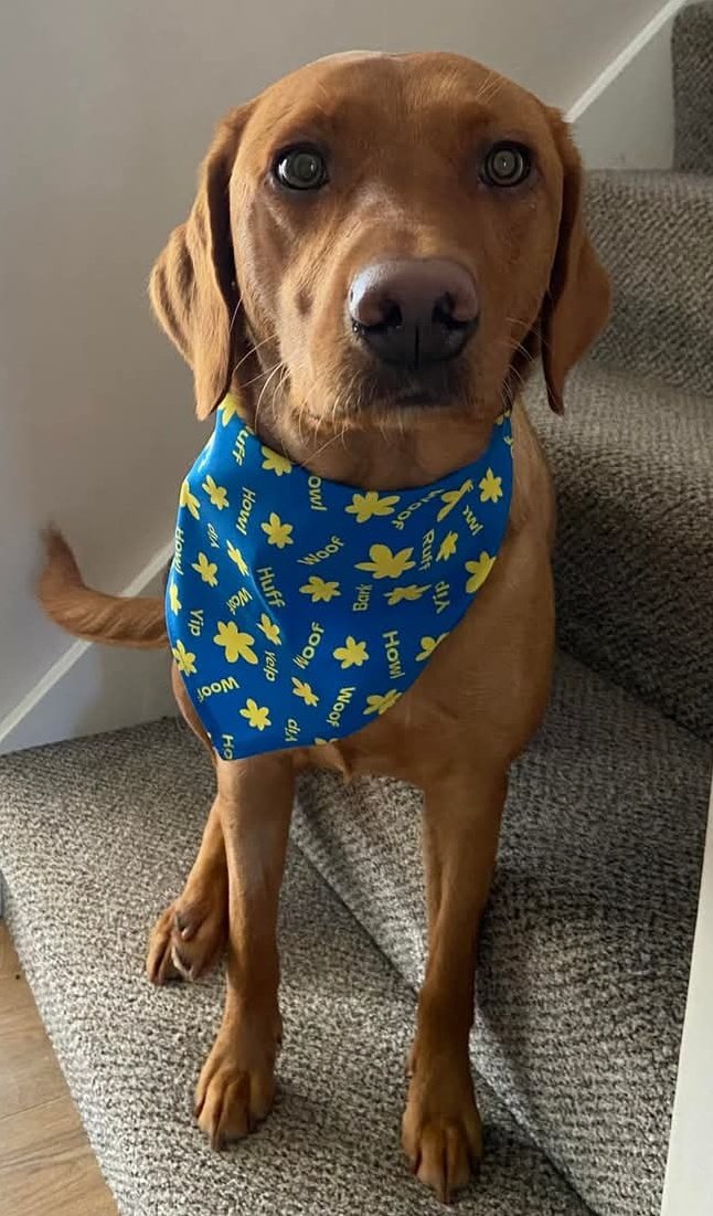 🎮 Jedders 🐀🎮🐈🐾 tweet media