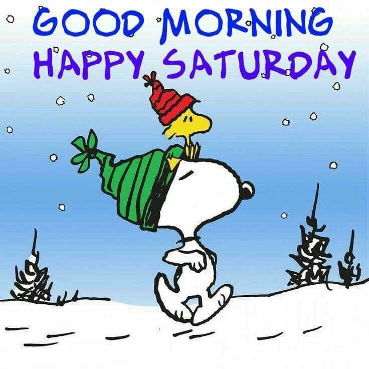 snoopyandfrien6's tweet photo. GOOD MORNING 
HAPPY SATURDAY https://t.co/qmzd4l0YSb