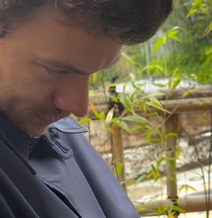 may ⭐️ tweet media