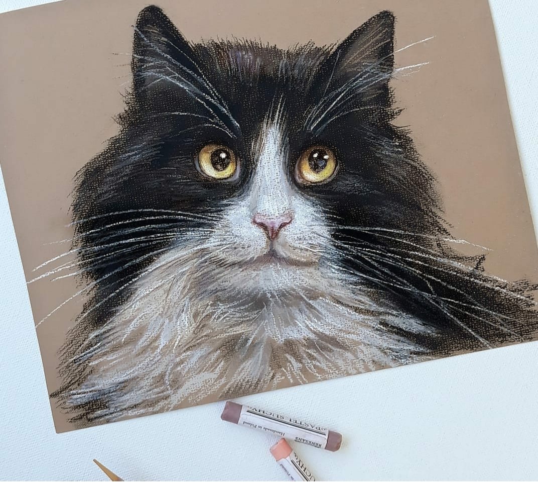 alena12gi's tweet image. Happy Caturday!🐱
Pasel drawing 20x30cm
#Caturday #drawin #pasteldrawing #nft #ArtistOnTwitter #satur