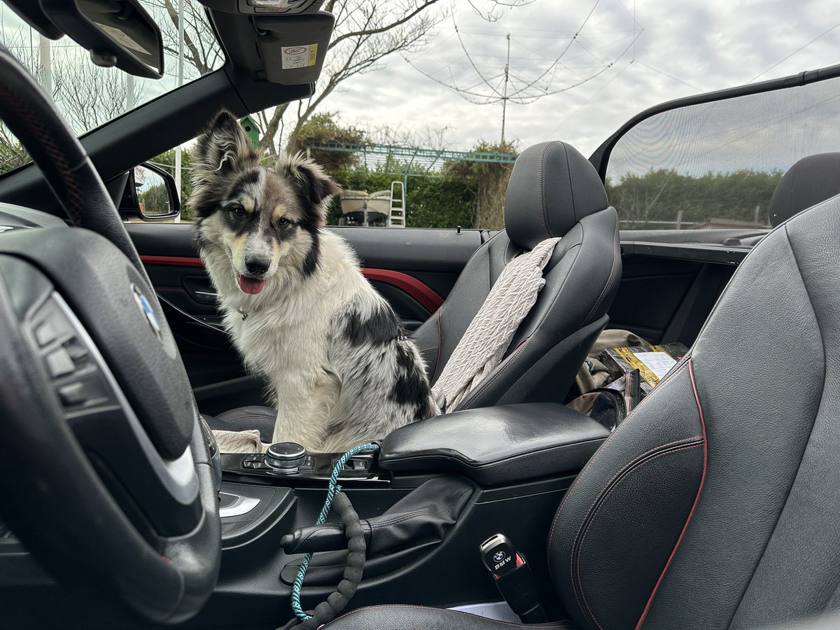 Lui_YT3PL (@lui89028699) on Twitter photo 