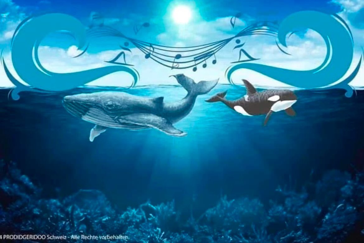 prodidgeridoo's tweet photo. - Das Meer ist unsere Welt. -

🌊 🐋 🐠 🐬 🐳 🙏 🕉️ 🌈 💫 ❤️ 🌊 🏄🏼 🤙

#sea #ocean #plasticfree #spirit #earth #love #wisdom #buddhism #danielspiegel #prodidgeridoo https://t.co/Yn6xsM1niz