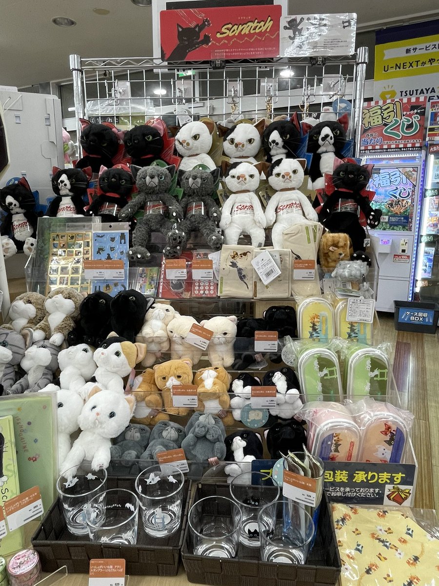 TSUTAYA_fujieda's tweet image. いつも、来店いただきまして誠にありがとうございます
ぼうねこ，チューチューキャット，スクラッチキャット，他ネコちゃんの販売始めました。可愛い猫たちがお待ちしております。
＃ぼうねこ
＃チューチューキャット