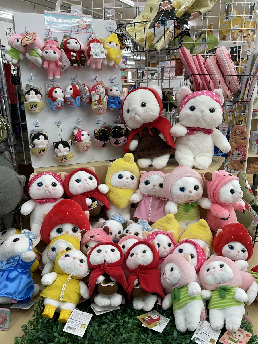 TSUTAYA_fujieda's tweet image. いつも、来店いただきまして誠にありがとうございます
ぼうねこ，チューチューキャット，スクラッチキャット，他ネコちゃんの販売始めました。可愛い猫たちがお待ちしております。
＃ぼうねこ
＃チューチューキャット