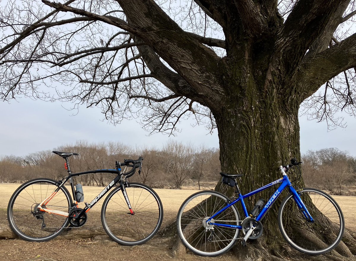 CRmmcha's tweet photo. 今日は、仕事終わりのラピの人（サブチャリ）と午後からのんびり23キロ🚲💨
初めて行く公園に連れてってもらったりして楽しかったぞ٩( 'ω' )و

#サイクリングロード
#サイクリング
#ロードバイク
#クロスバイク
#自転車日和
#ゆるぽた
#サイクリング好きな人と繋がりたい https://t.co/HYuOqj05LC