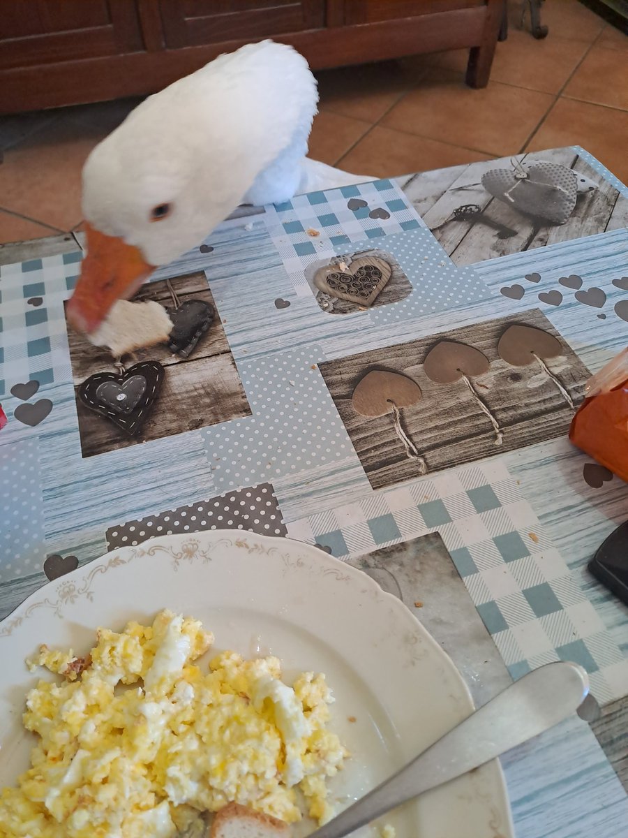 Buongiorno anche da me #DDM