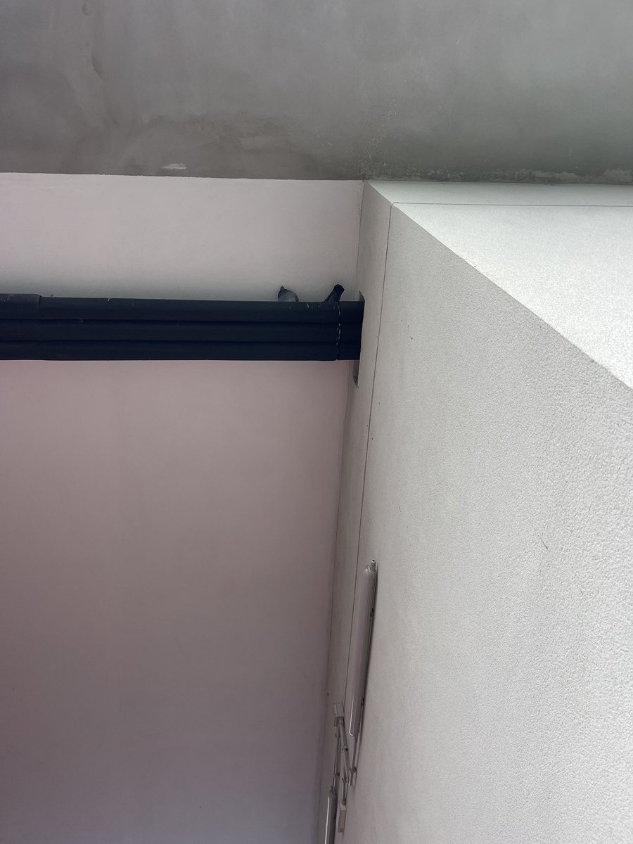 Enebiel Moreno tweet media