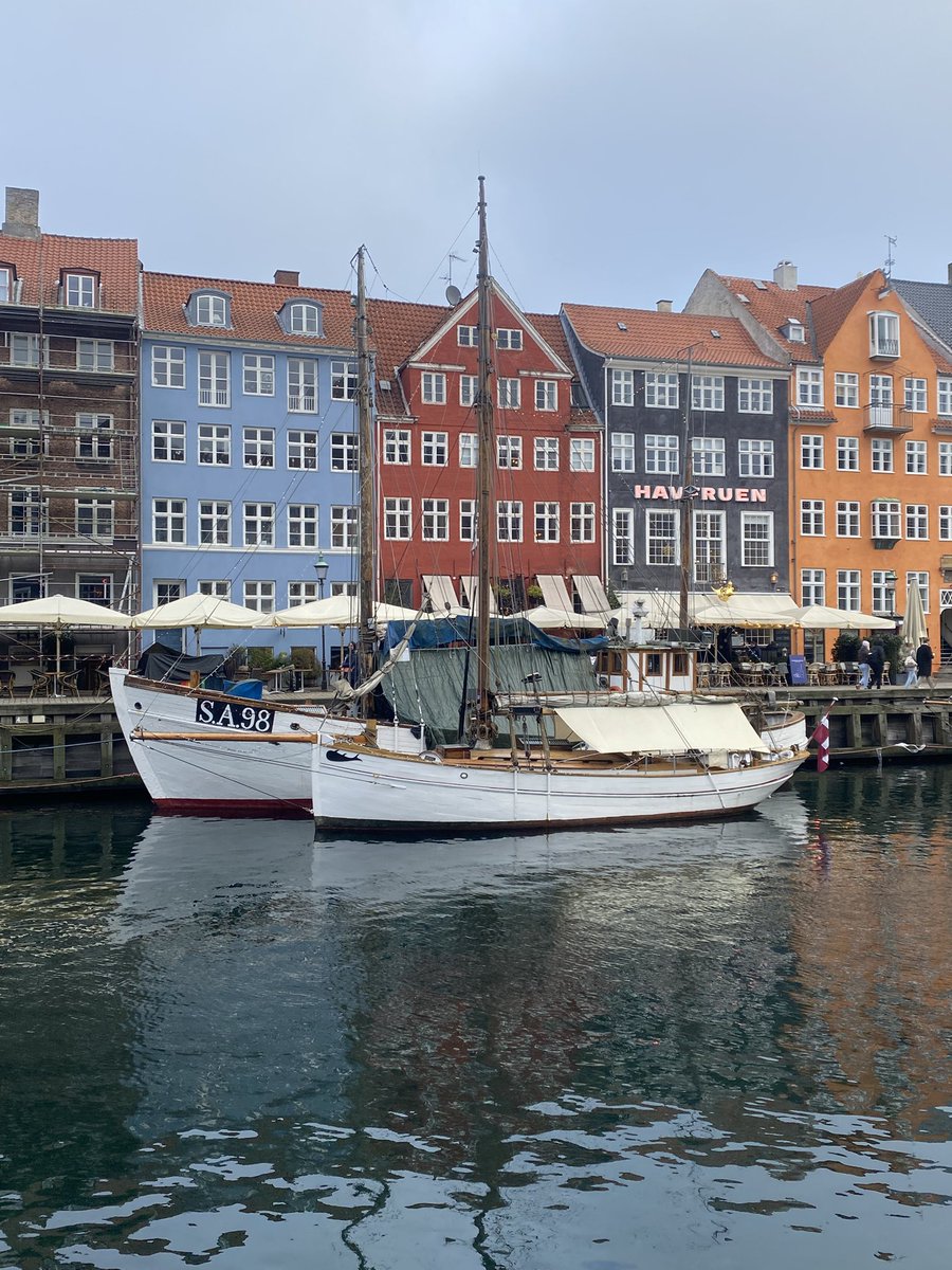 Anastasia Prokhorova tweet media