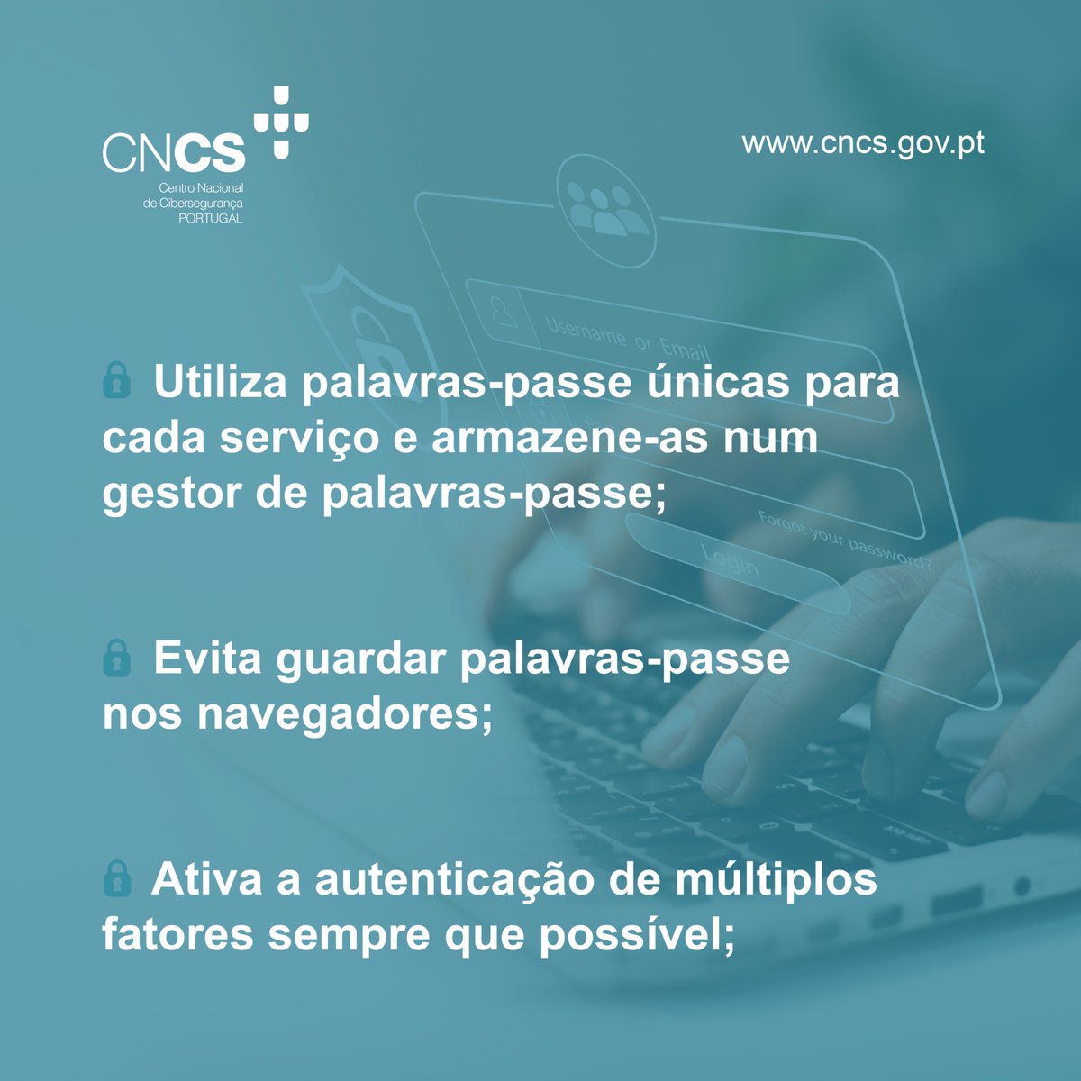 Centro Nacional de Cibersegurança tweet media