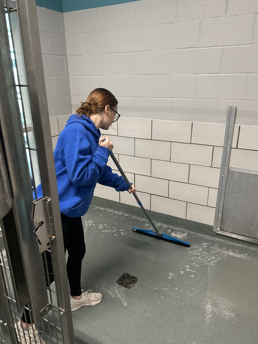 Baytown Sterling Golf Team tweet media