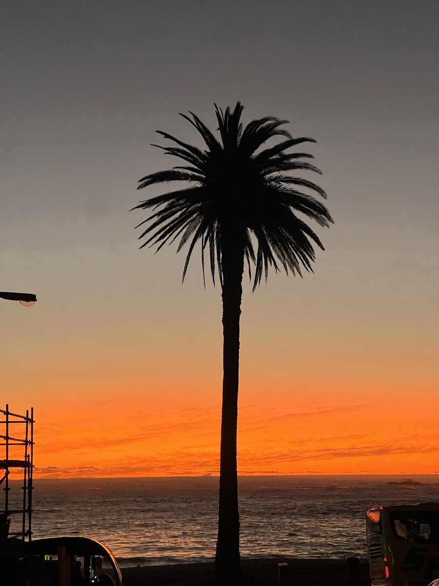 CampsBay.Com tweet media