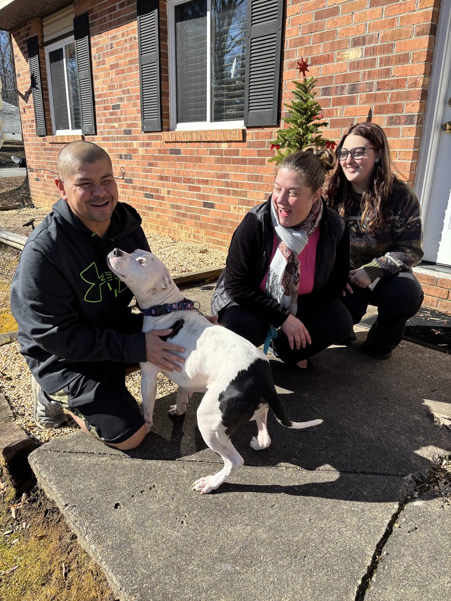 Lola Patolla tweet media