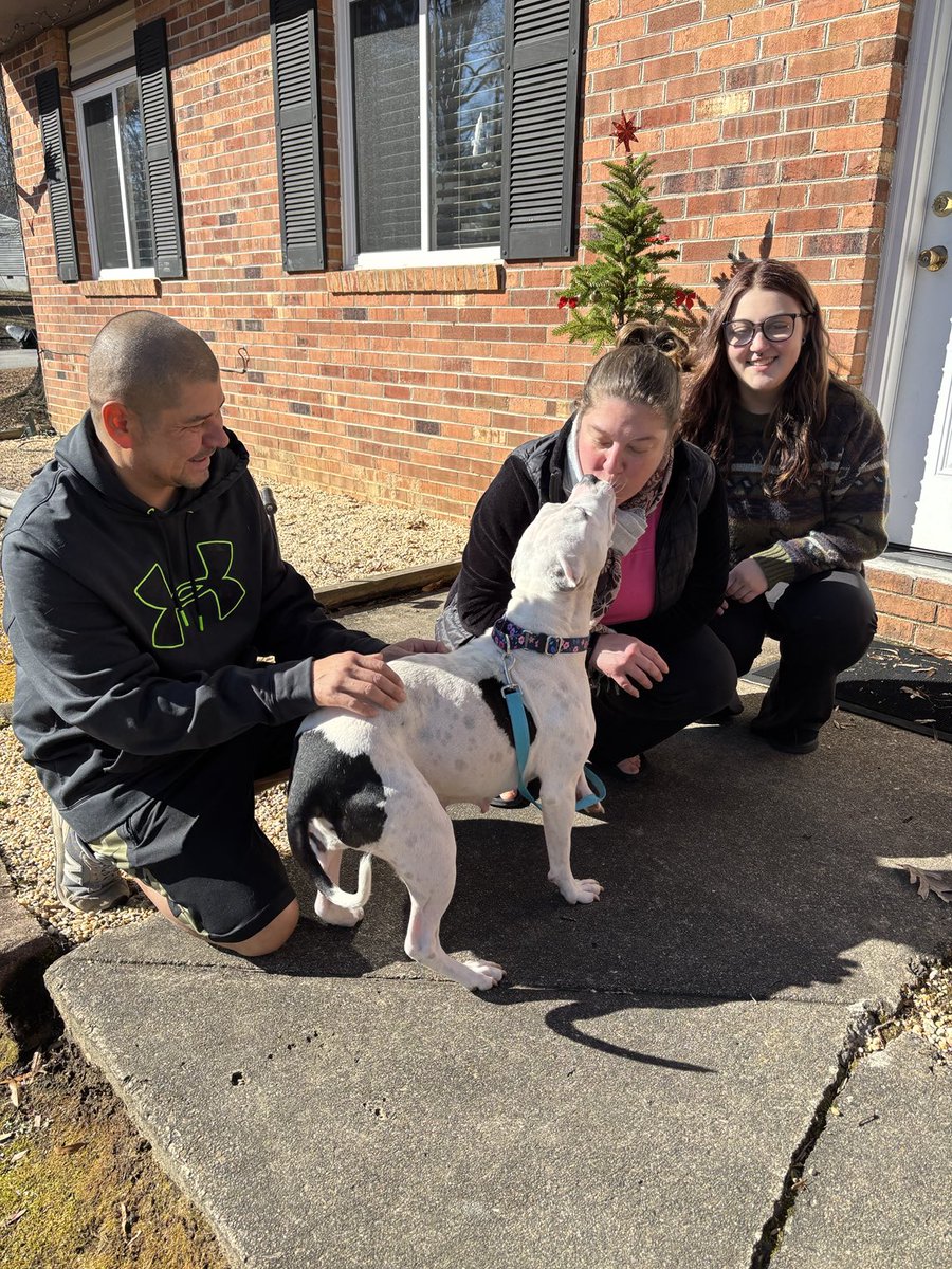 Lola Patolla tweet media