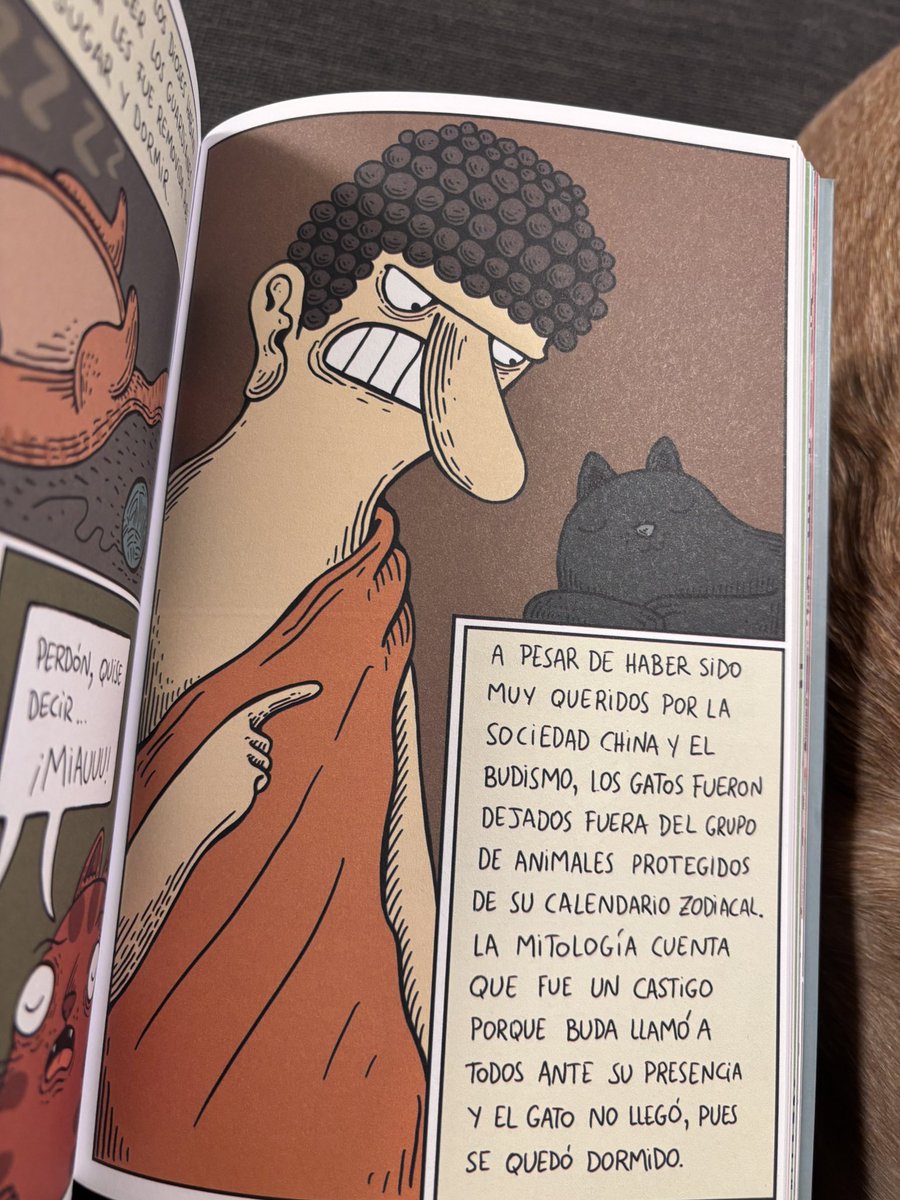 Mi gente de Fruits Basket sabe que no 😡