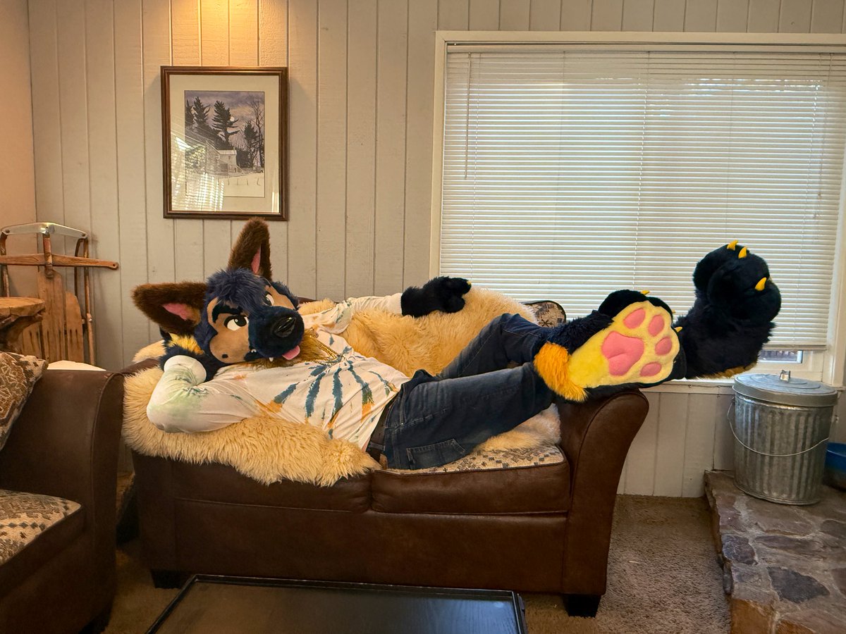 Cabin rules:

1. Dogs are always allowed on the couch.

2. See 1.

#sheppysaturday