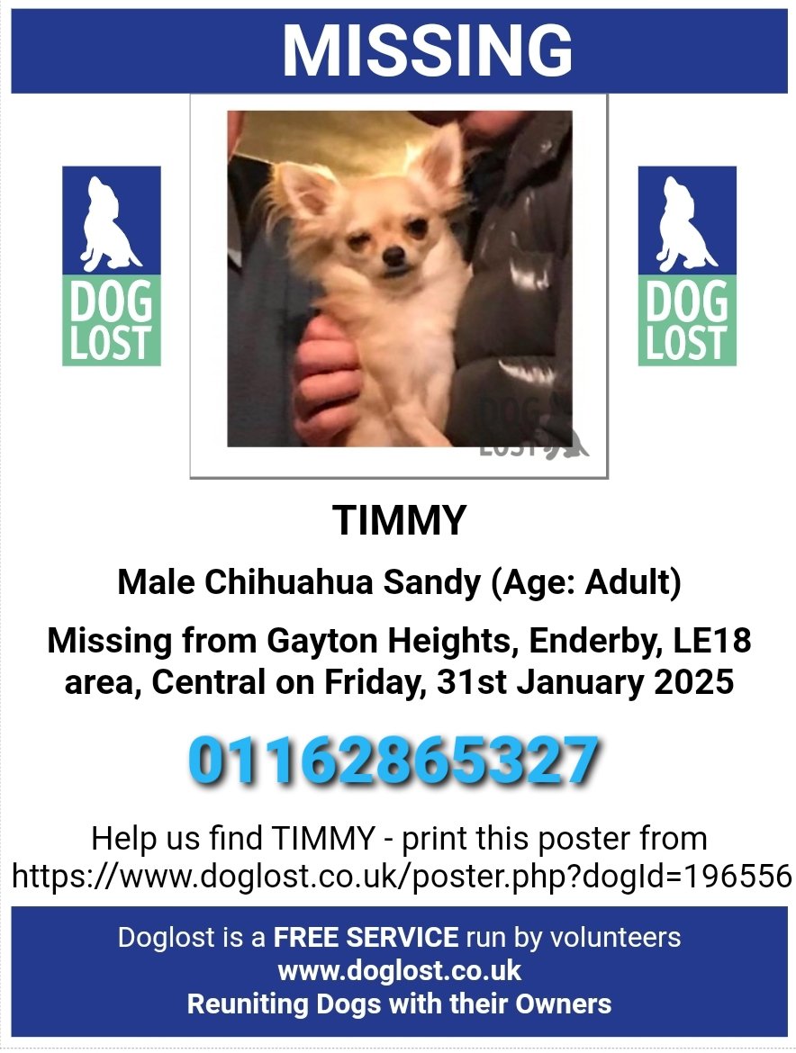 MissingPetsGB's tweet photo. 🐕PLEASE SHARE URGENT

HELP.FIND MISSING TIMMY, SUPPORT DOG TO ELDERLY MAN WITH VASCULAR DEMENTIA

Missing Chihuahua £1000 Reward
He went missing early morning 31 January 2025 from his garden in Gayton Heights, Enderby #Leicestershire #LE19
 If anyone sees him please call https://t.co/rcvAVmd3Ud