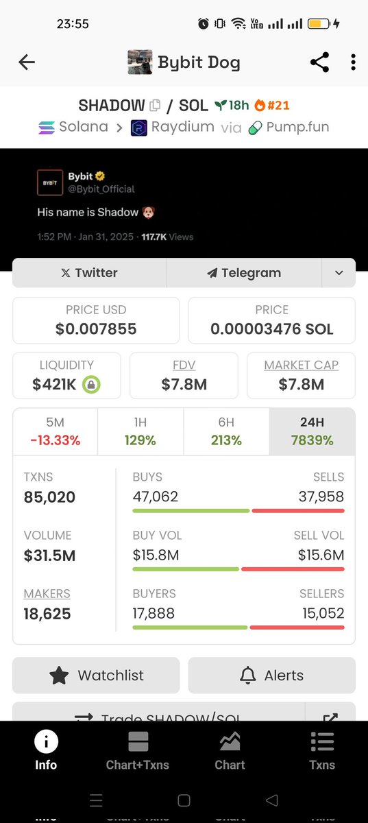 $Shadow coin  (Bybit Dog) pump