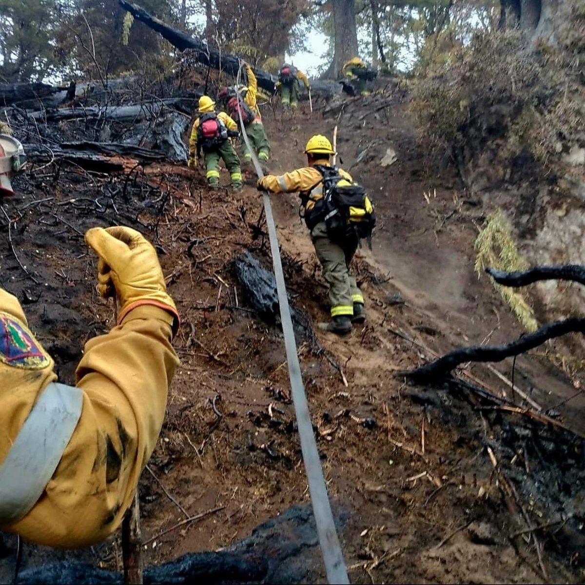 belenlarchens's tweet photo. Nuestros Héroes sin Capa de la Patagonia
#RioNegro 🔥🔥🔥 A nadie le importa. https://t.co/u4aUItDOYq