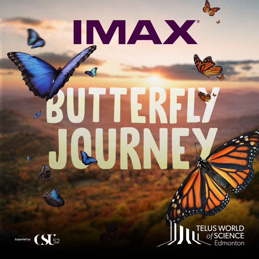 🦋 Now Playing! 🦋 Butterfly Journey is a celebration of survival and strength!

Experience their breathtaking migration #IMAX on Alberta’s largest screen.

🎟️ twose.ca/butterflyjourn…

Supported by: <a href="/CSU52/">Civic Service Union 52</a>

#yeg #edmonton #yeggers #yeglocal #yegfamily #edmontonfamily