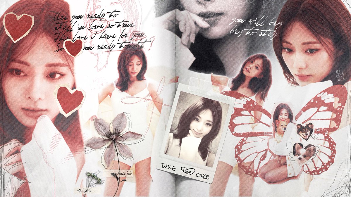 twicefiles tweet picture