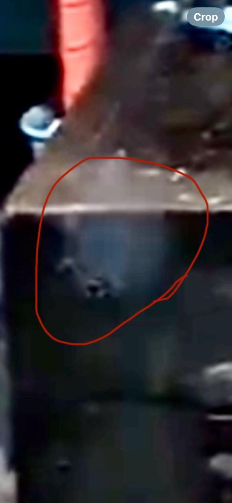 Patti Chapman (@roxyboomagic) on Twitter photo ๐๐พ <a href="/LegatoTia/">โฅ๏ธโจTia Legato๐ซ</a> , look what Spooks found in a orb , I was at my neighbors house & found a small but fast orb, it looks like Roxy to me, pretty cool huh ๐๐ฏ๐๐ท๐งโโ๏ธ๐ฟ๐โค๏ธโจ๏ธ ๐๐พ <a href="/LegatoTia/">โฅ๏ธโจTia Legato๐ซ</a> , look what Spooks found in a orb , I was at my neighbors house & found a small but fast orb, it looks like Roxy to me, pretty cool huh ๐๐ฏ๐๐ท๐งโโ๏ธ๐ฟ๐โค๏ธโจ๏ธ