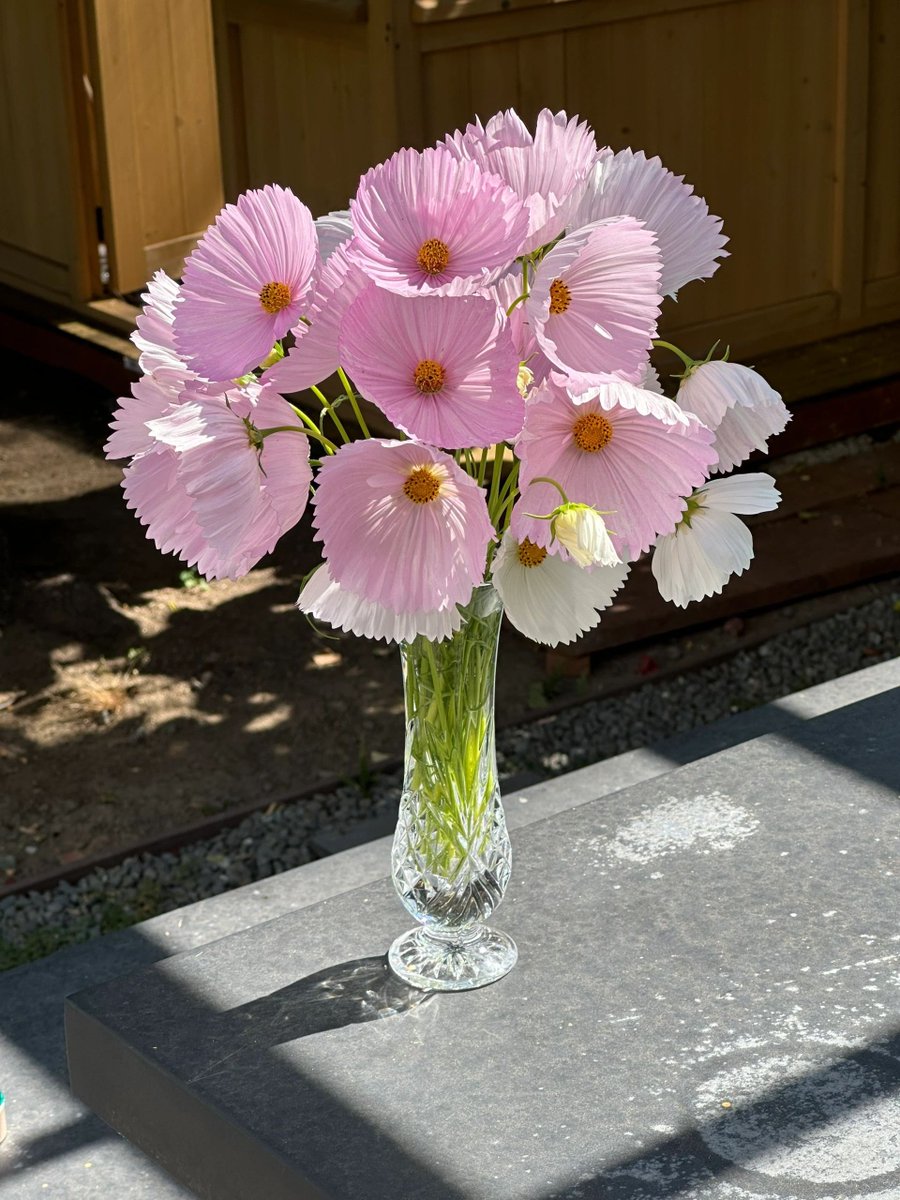 Modesty_Yis's tweet image. 幸せな自分とは、最も真実で美しい自分を持つことです。🌟💖