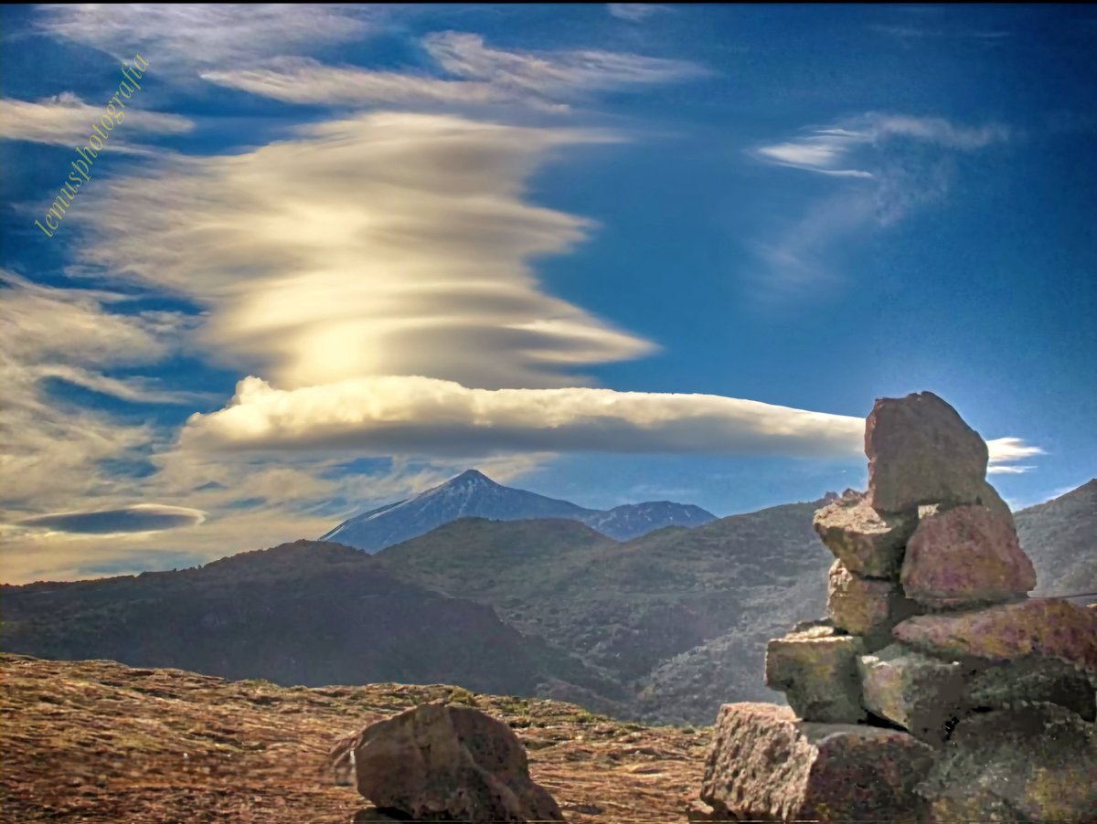 lemus photography tweet media