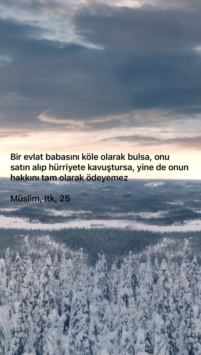 MehmetNedimKiliçaslan (@kilicaslannedim) on Twitter photo 