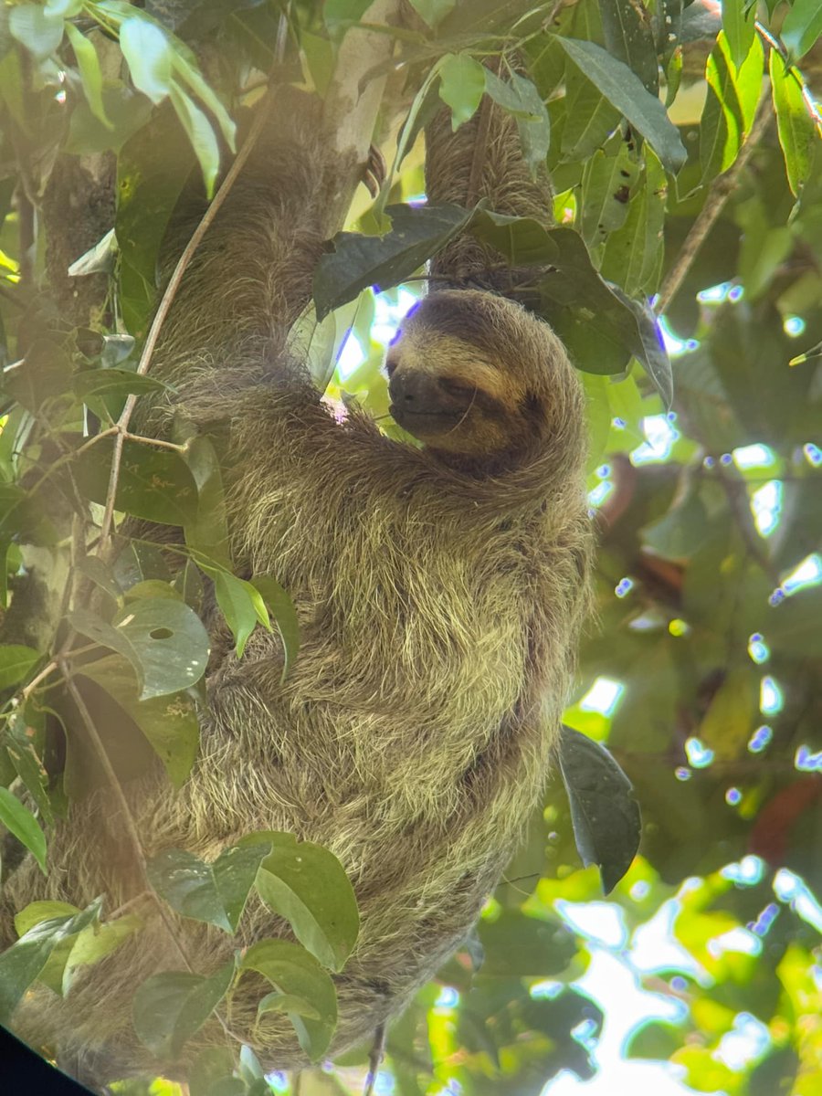 $tevie Blunts (@stevie_blunts) on Twitter photo 