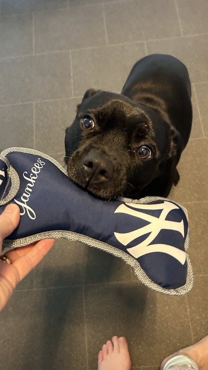 Baby Frank & his teddy, Edward 🧸🏴󠁧󠁢󠁷󠁬󠁳󠁿 tweet media