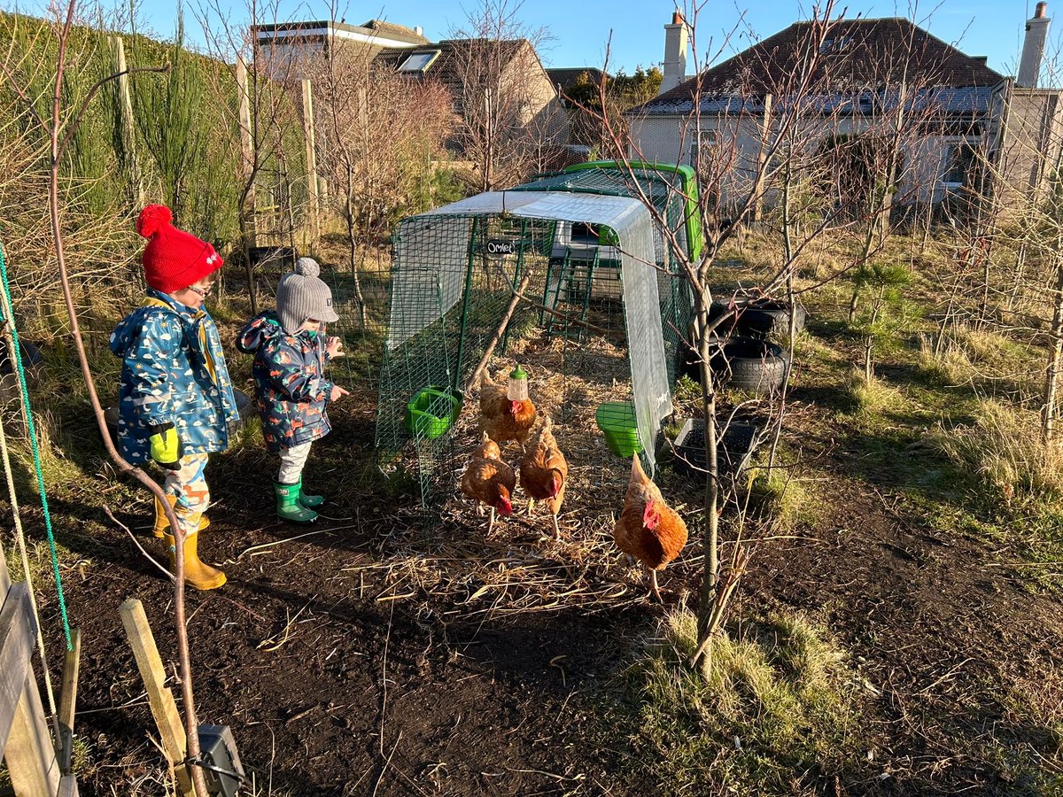 Gracias to this amazing Frogston Family, taking care of our pollitas this whole weekend!!! Have so much fun, guys! #community #HWB #futurefarmers