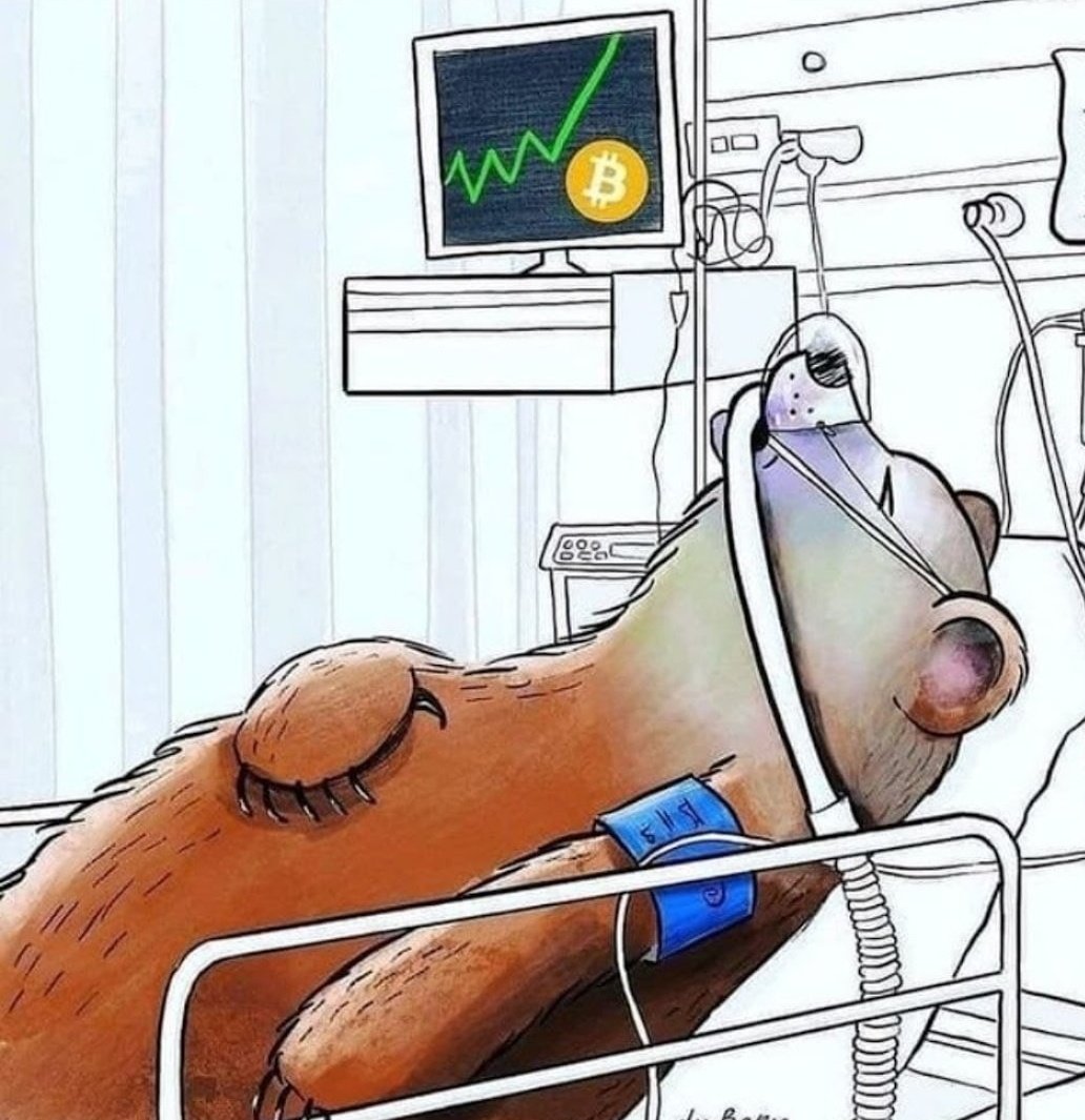 DanielG43468125's tweet photo. @babydoge Babydoge coin está assim por 4 anos ... Tá na hora de acordar sair do coma😎😎😎🚀🚀🚀 https://t.co/g8rqj39xDF