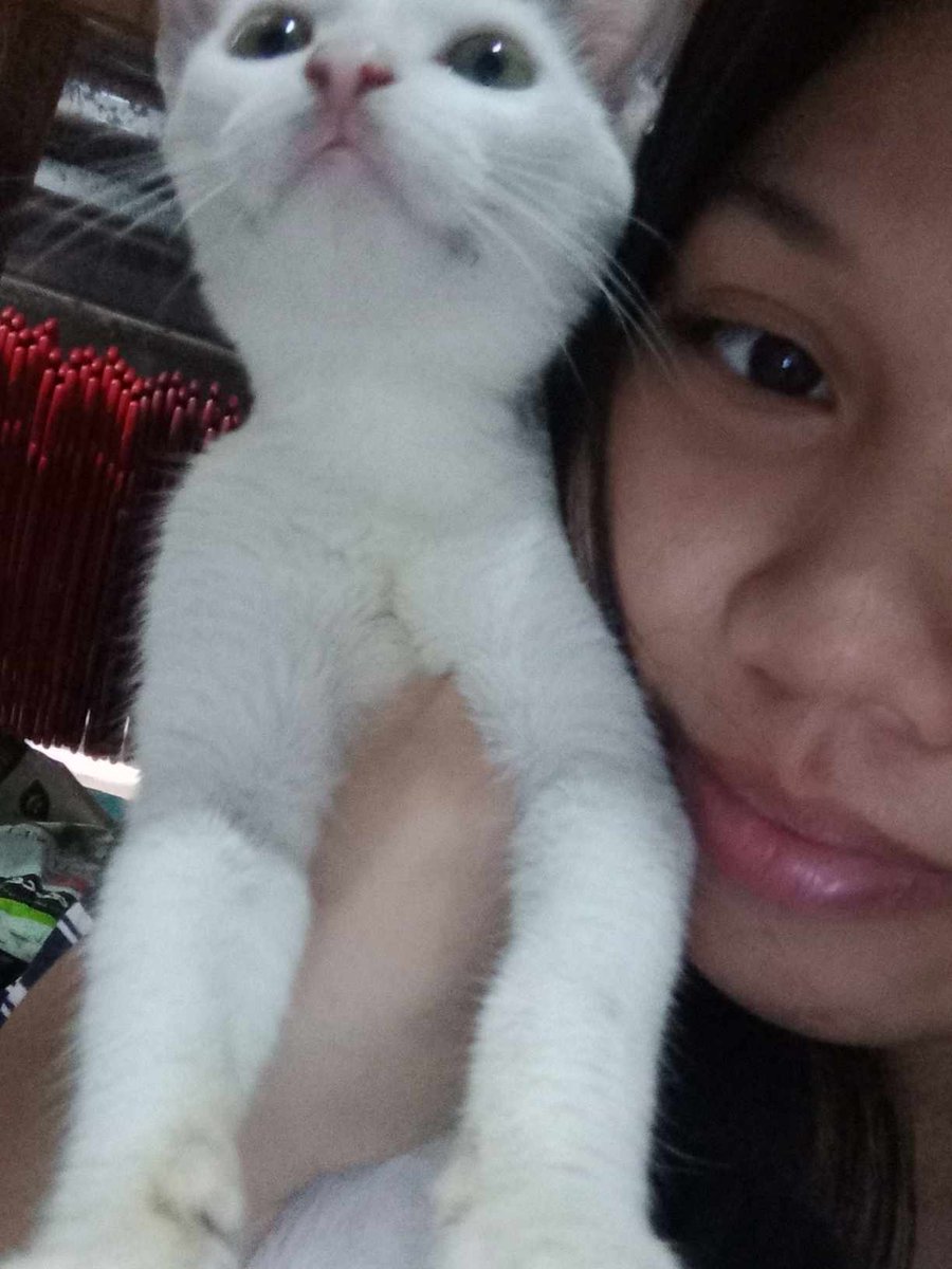 mnicsyyy's tweet photo. YOU WILL BE MISSED, MY BABY MOLLY! : <

MY EYES LITERALLY BURST INTO TEARS UPON SEEING YOU BEING SICK AND WEAK THESE PAST FEW DAYS. IT BREAKS MY HEART THAT YOU'RE ALREADY GONE, THOUGH IT HURTS, BUT I'LL FOREVER TREASURE THE MOMENTS AND LAMBINGAN WE'VE MADE. I LOVE YOU, MY BABY! https://t.co/37kzFANIGR