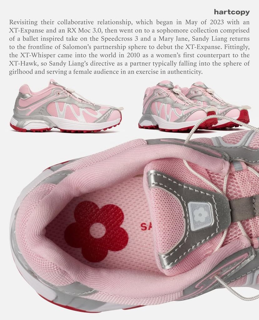 salomon x sandy liang