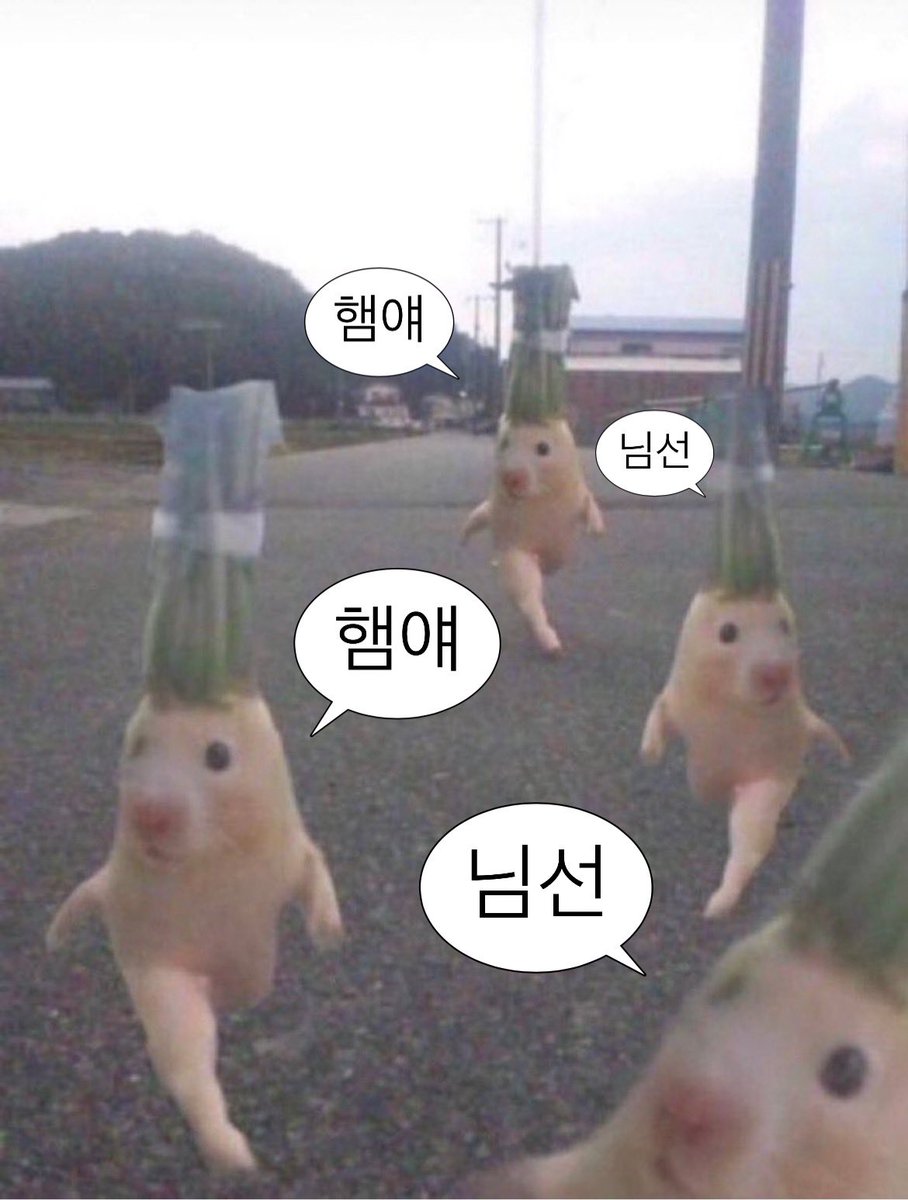 햄햄가 talk hamham하라는듸