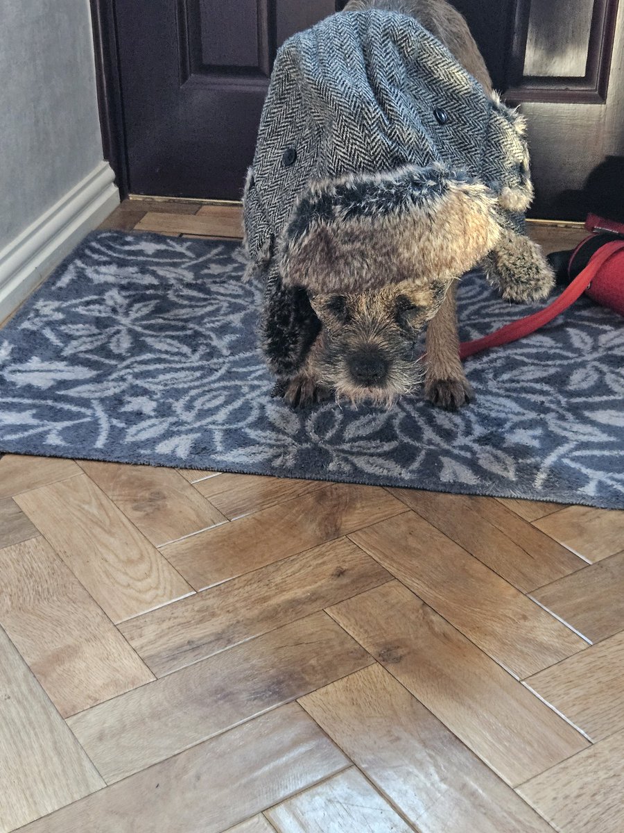 PlutotheT's tweet photo. #HatsOnForEric #BTPosse Mum took 2 pictures,  I  don't look happy in either of them🤣🤣 sending love to Eric's family ❤️ 🐾 https://t.co/x94uTlpxcv