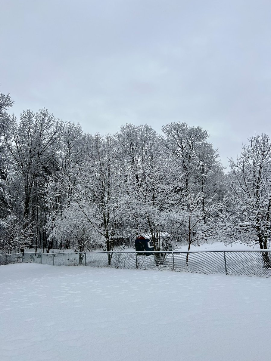 Argi_Hughes's tweet image. Saturday snow, cardinal sighting 📸❄️

#currentview
