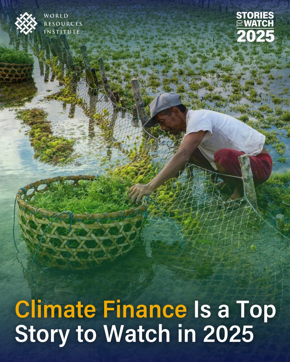 WRI Climate (@wriclimate) on Twitter photo 2025 is the year to care about finance for climate and nature 🌍💰
Last week, <a href="/WorldResources/">World Resources Institute</a> presented #StoriesToWatch, where they broke down the key challenges & potential solutions to the new climate finance goal 👉 bit.ly/40SkArQ
#NCQG #ClimateFinance 2025 is the year to care about finance for climate and nature 🌍💰
Last week, <a href="/WorldResources/">World Resources Institute</a> presented #StoriesToWatch, where they broke down the key challenges & potential solutions to the new climate finance goal 👉 bit.ly/40SkArQ
#NCQG #ClimateFinance