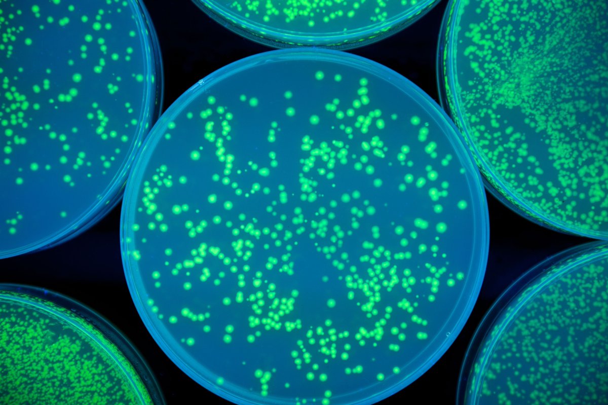 litegrav tweet media